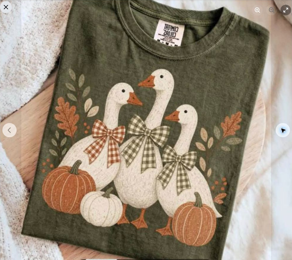 Fall Geese & Pumpkins Tee | Comfort Colors approved design mockup
